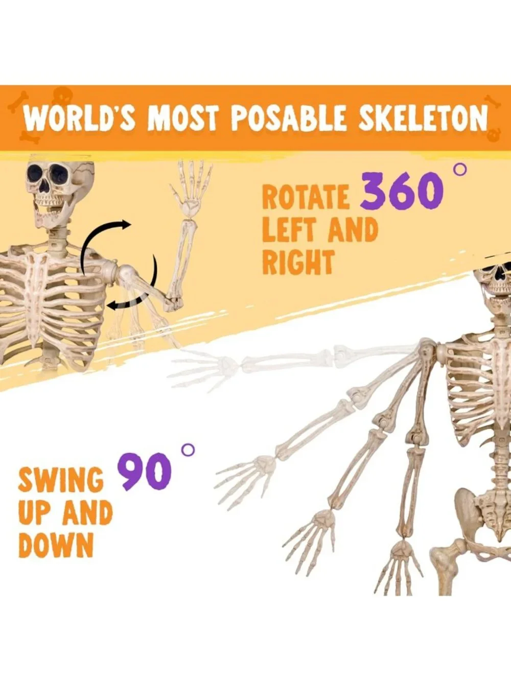 Life-Size 5FT Posable Skeleton Decor | Movable Joints for Halloween Parties